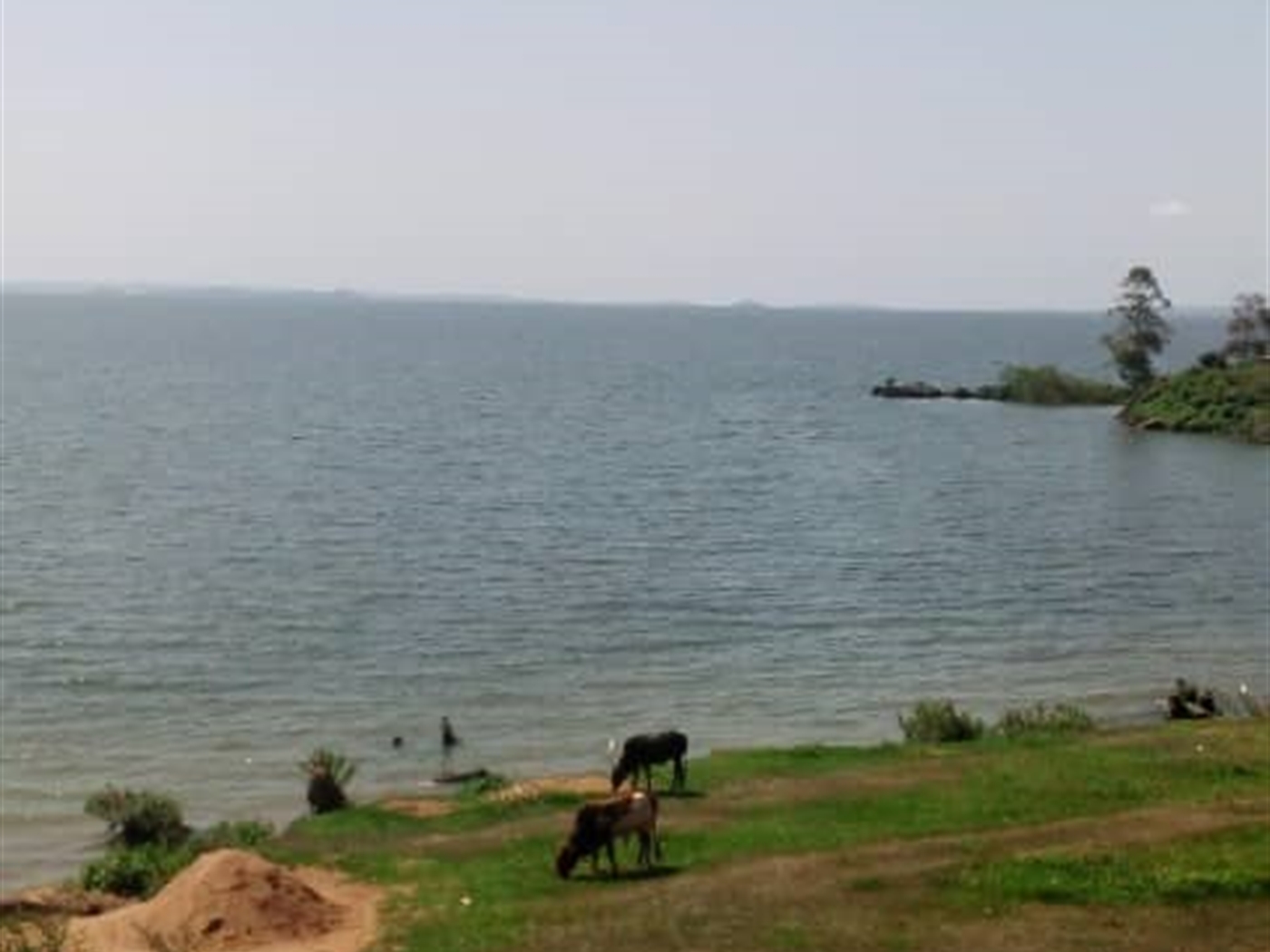 Recreational land for sale in Bwelenga Wakiso Uganda
