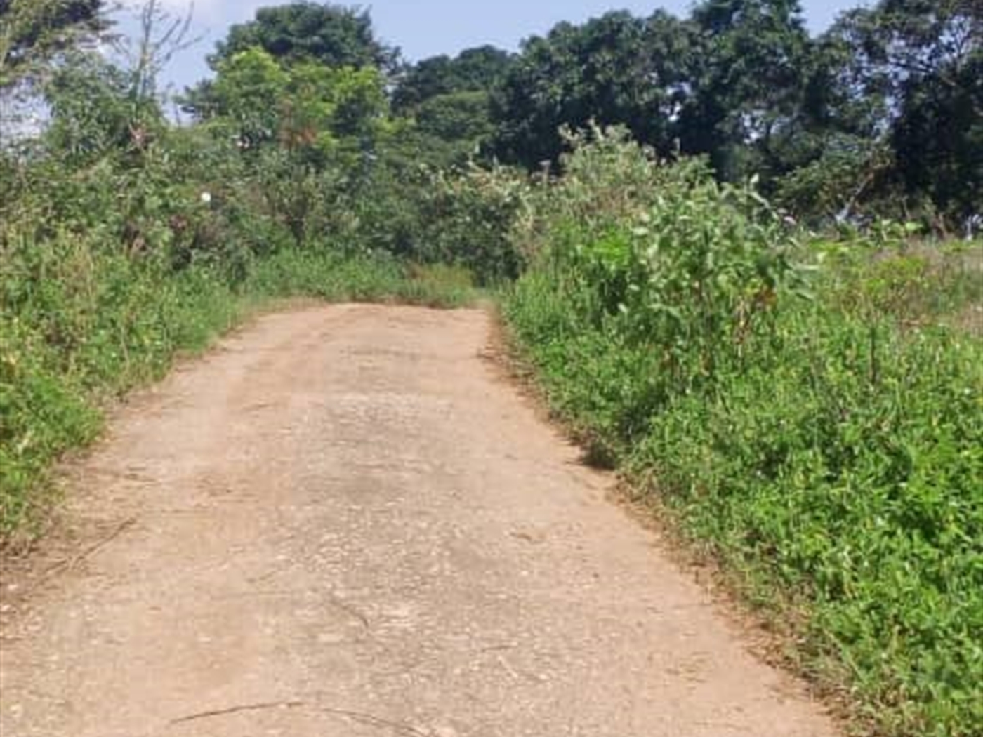 Recreational land for sale in Bwelenga Wakiso Uganda
