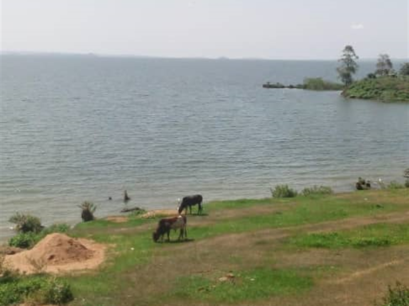 Recreational land for sale in Bwelenga Wakiso Uganda