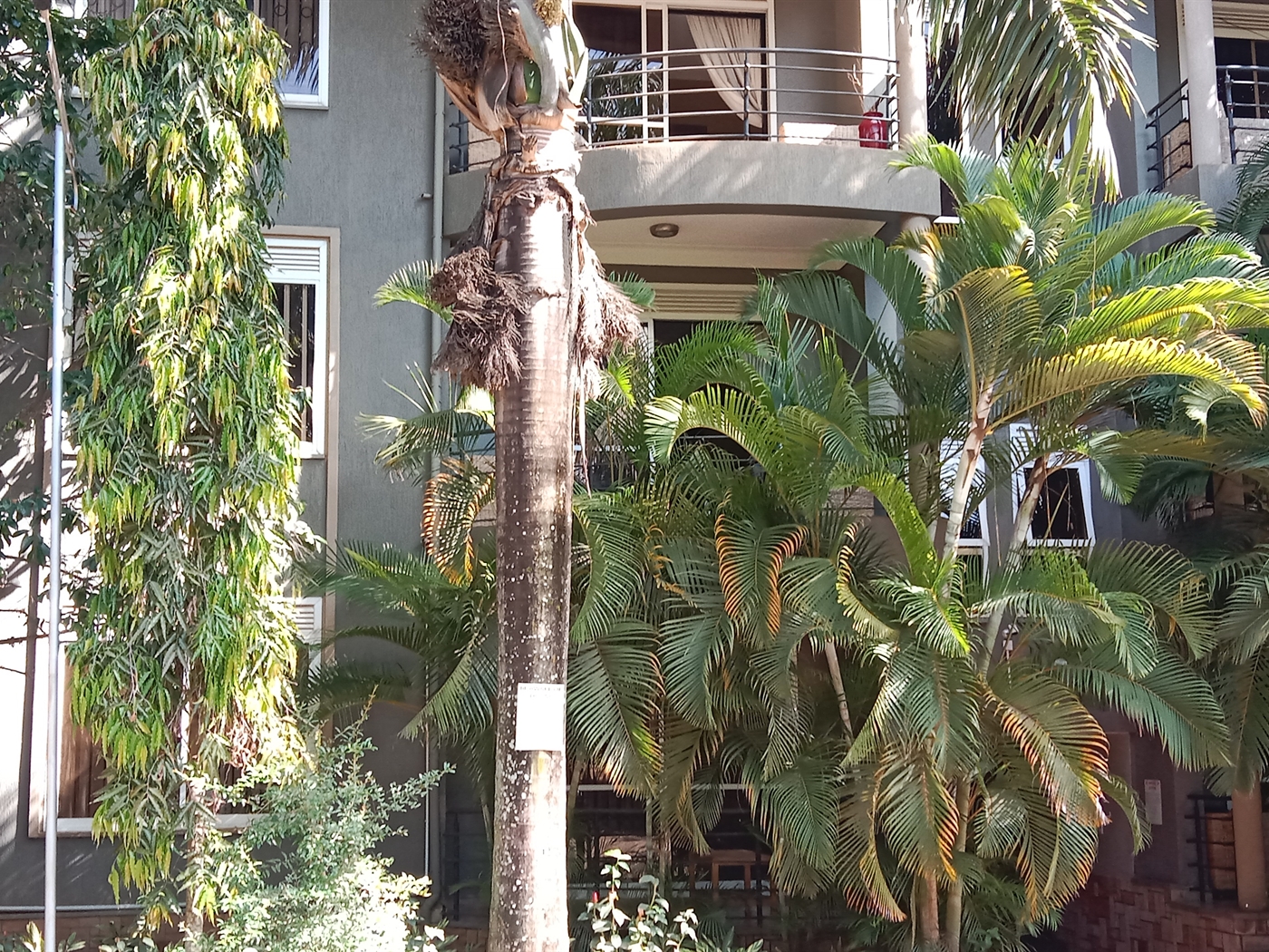 3-bedroom Apartment block for rent in Munyonyo Kampala Uganda