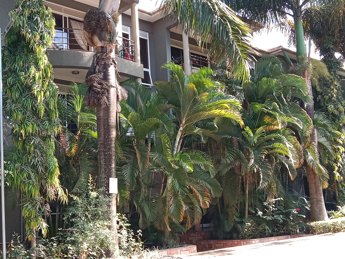 3-bedroom Apartment block for rent in Munyonyo Kampala Uganda