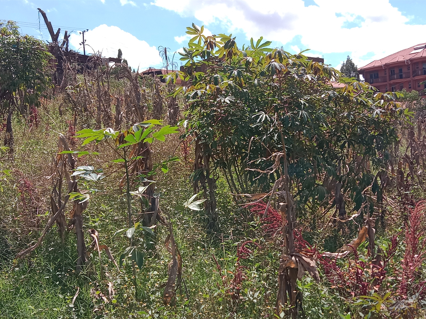 1 bedroom Unknown for sale in Kisaasi Wakiso Uganda