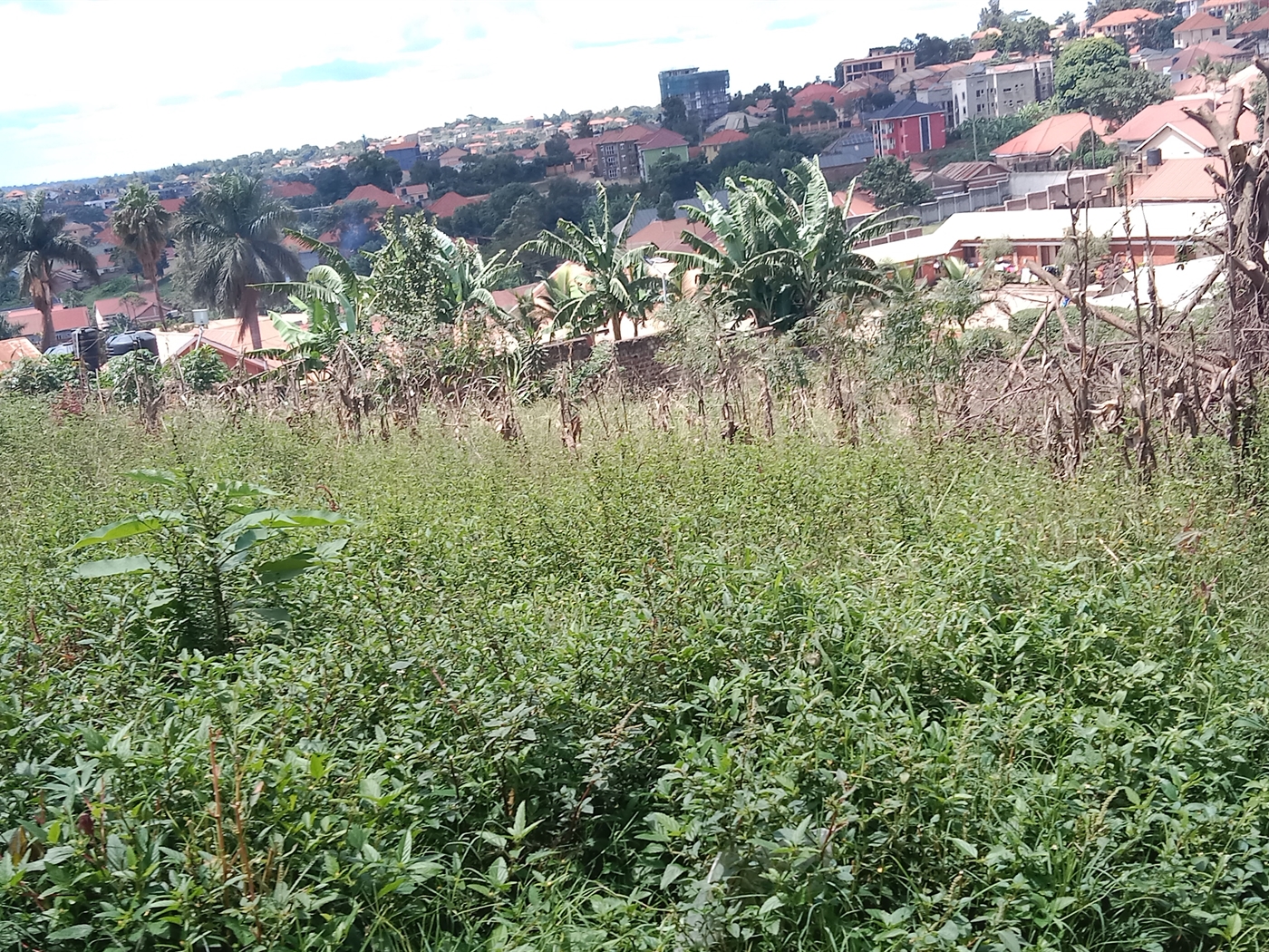 1 bedroom Unknown for sale in Kisaasi Wakiso Uganda