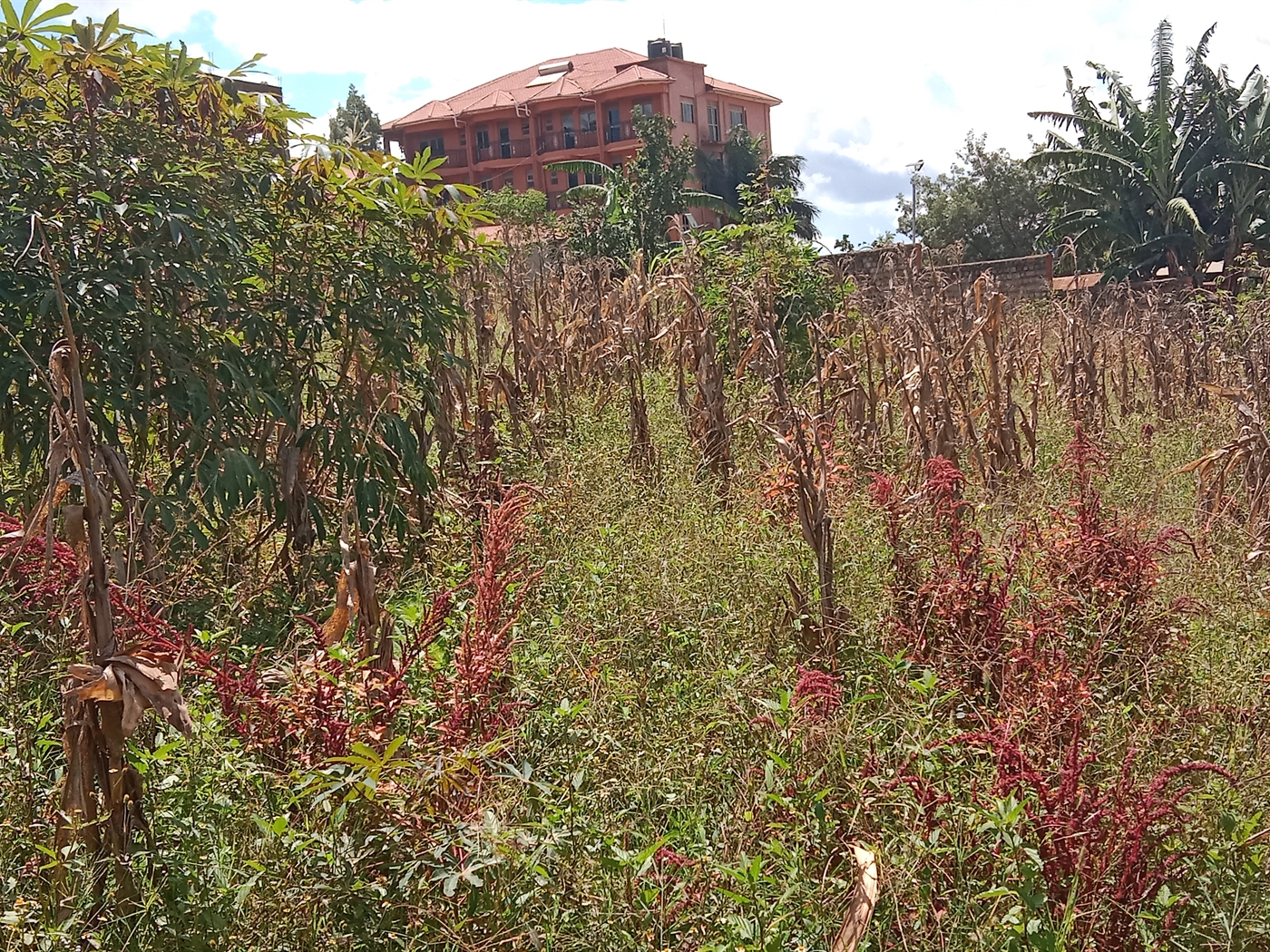 1 bedroom Unknown for sale in Kisaasi Wakiso Ugand...