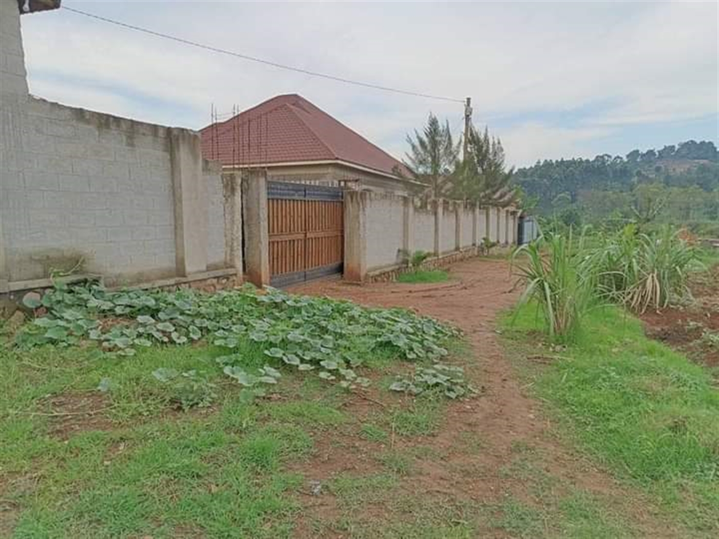 Residential land for sale in Bajjo Mukono Uganda