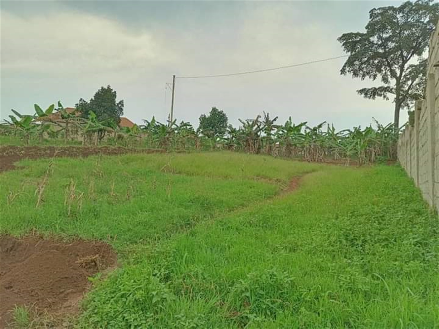 Residential land for sale in Bajjo Mukono Uganda