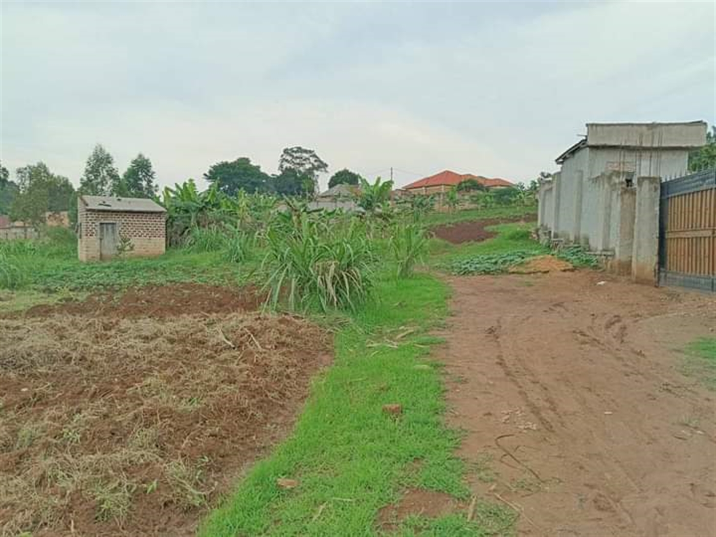 Residential land for sale in Bajjo Mukono Uganda