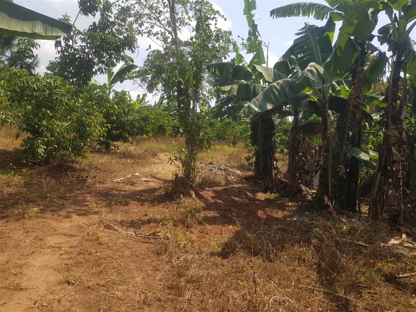 Residential land for sale in Bombo Luweero Uganda