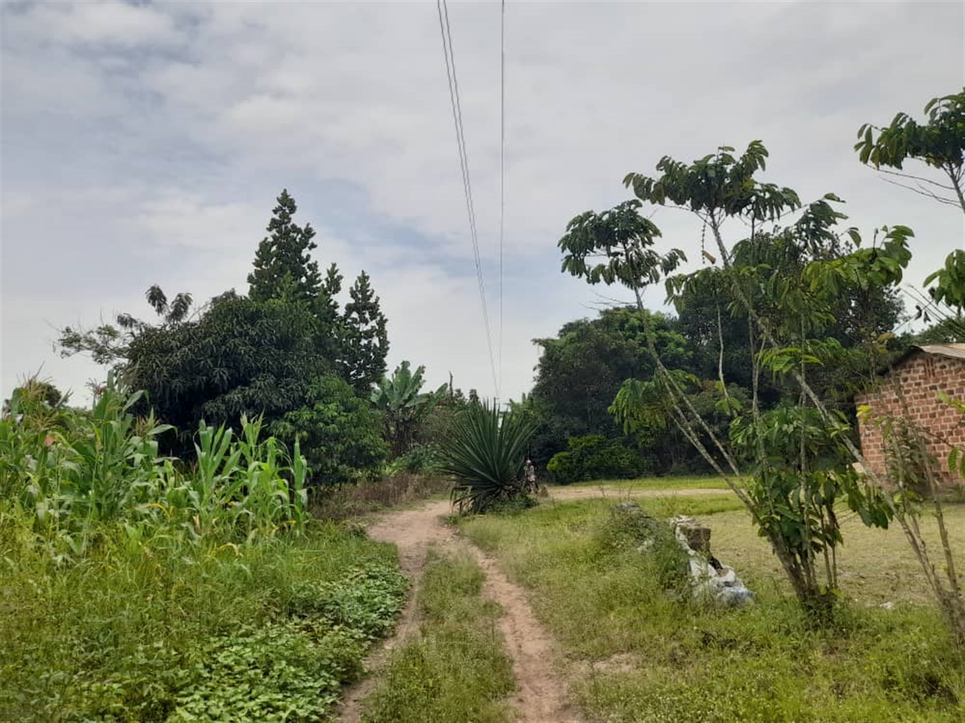 Residential land for sale in Bombo Luweero Uganda