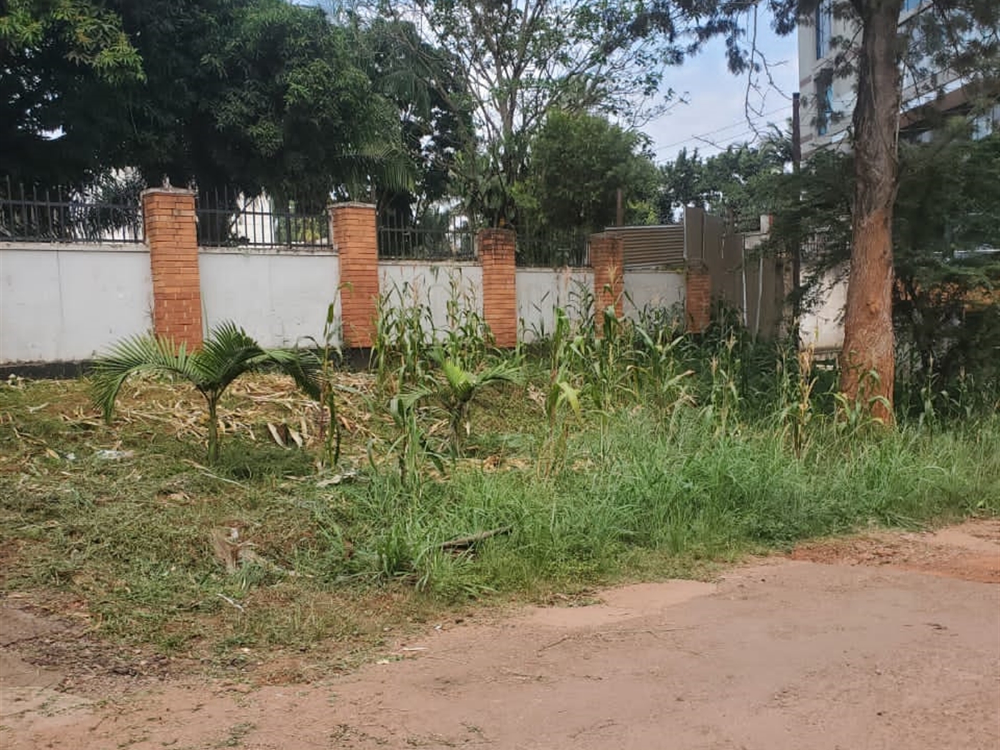 Residential land for sale in Bugoloobi Kampala Uganda