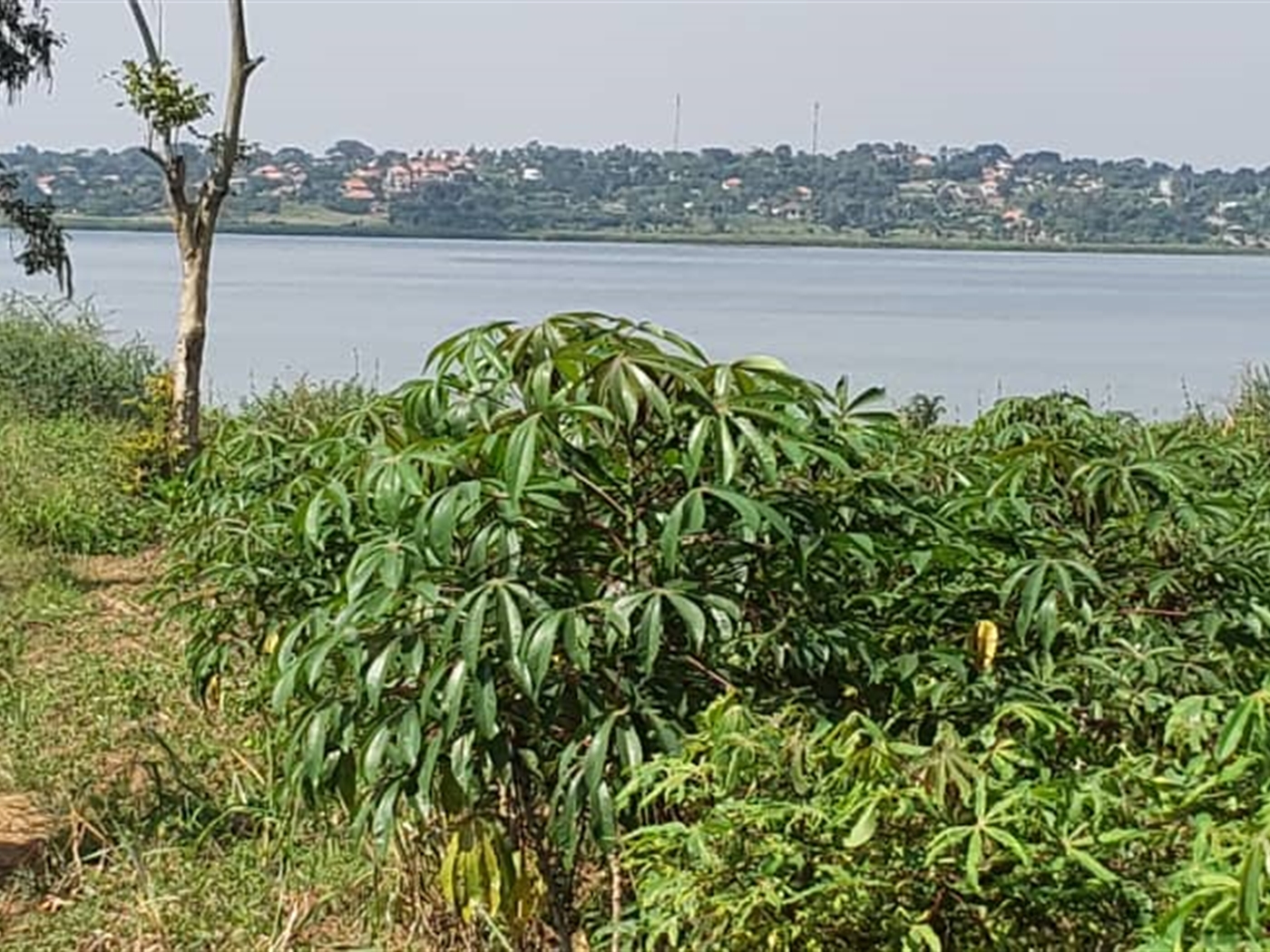 Residential land for sale in Bukasa Wakiso Uganda