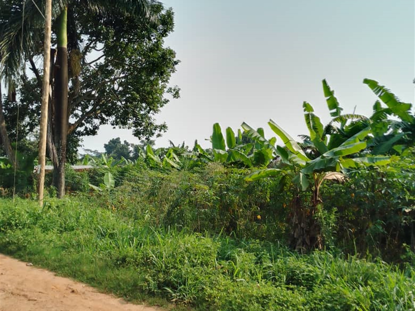 Residential land for sale in Bukasa Wakiso Uganda