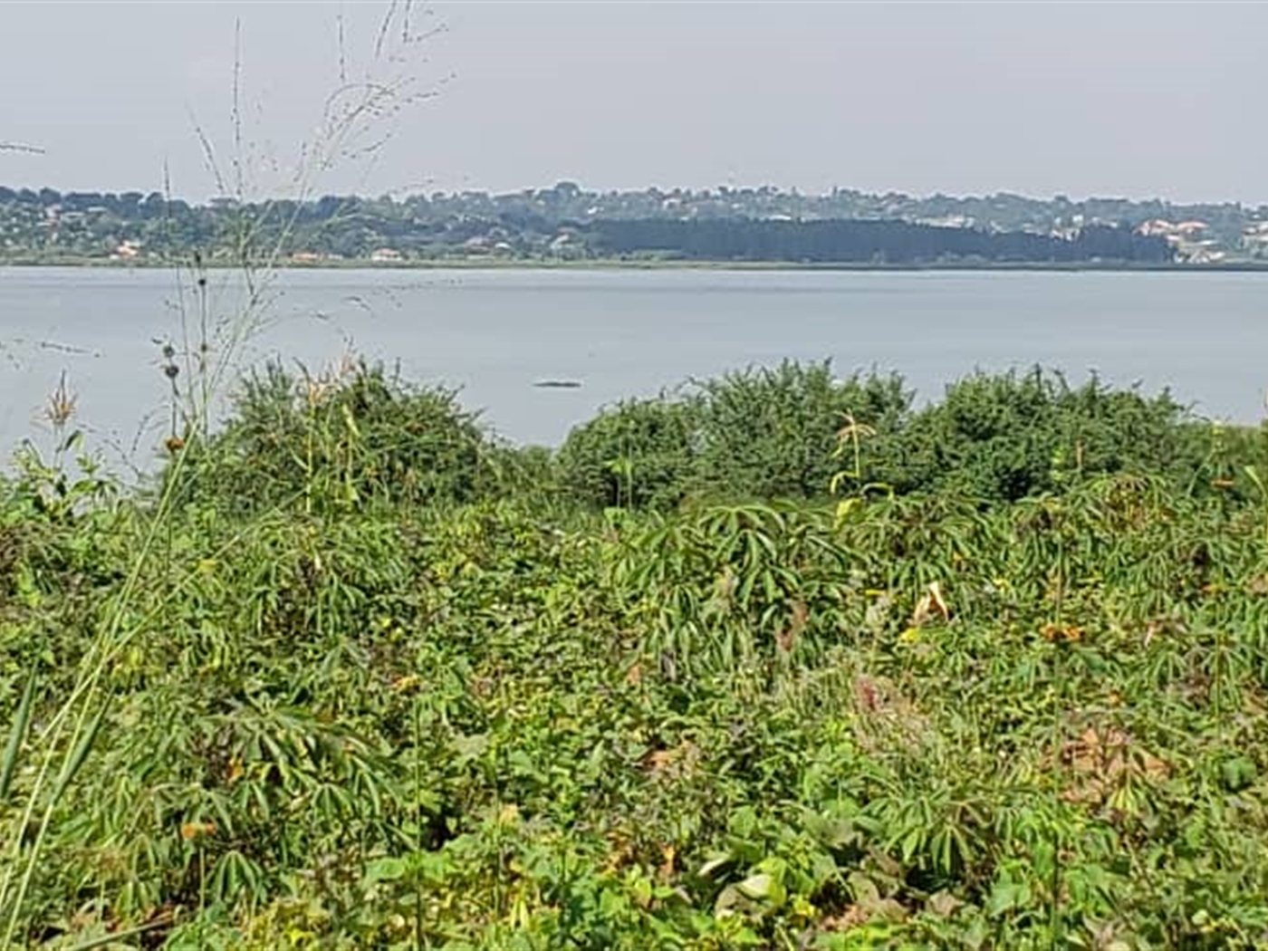 Residential land for sale in Bukasa Wakiso Uganda