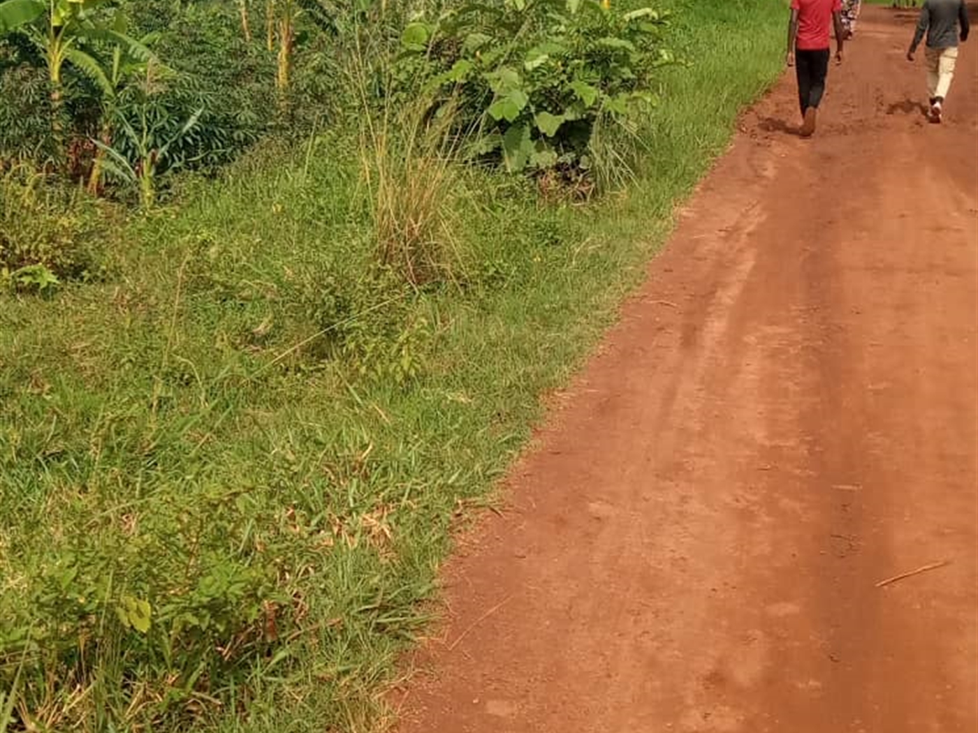 Residential land for sale in Bukasa Wakiso Uganda