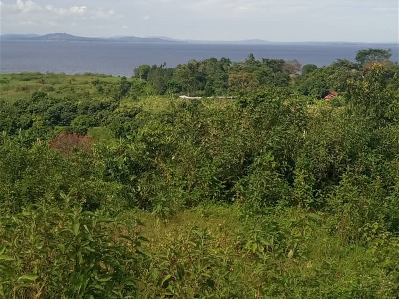 Residential land for sale in Bukasa Wakiso Uganda