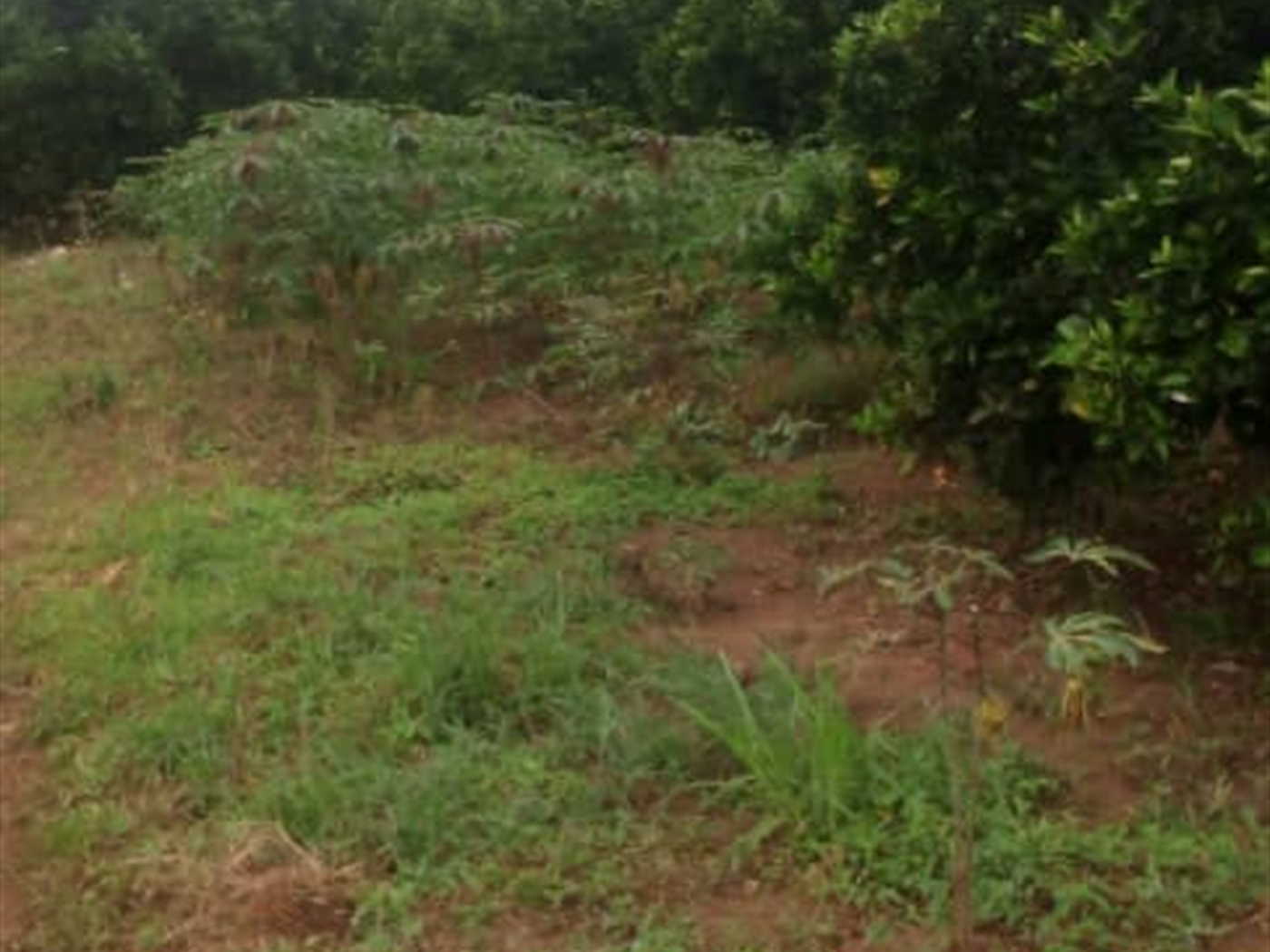 Residential land for sale in Bukasa Wakiso Uganda