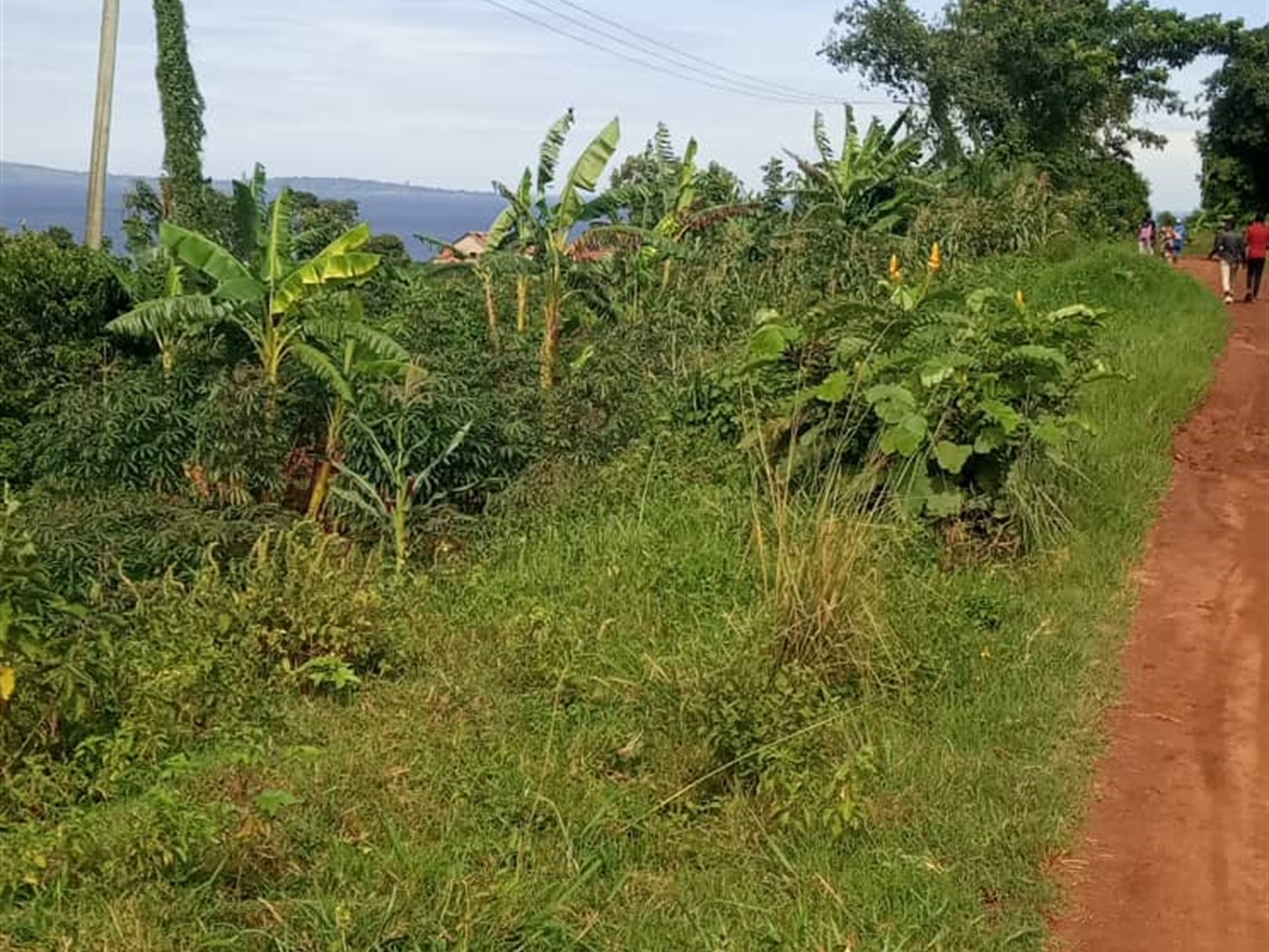 Residential land for sale in Bukasa Wakiso Uganda