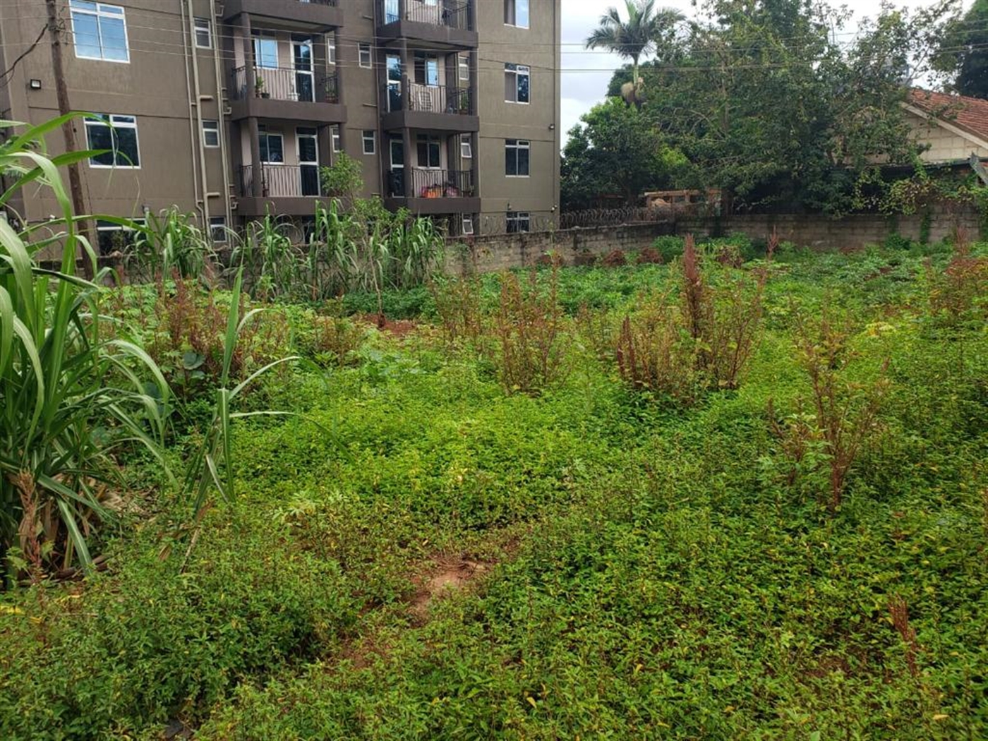 Residential land for sale in Bukoto Wakiso Uganda,
