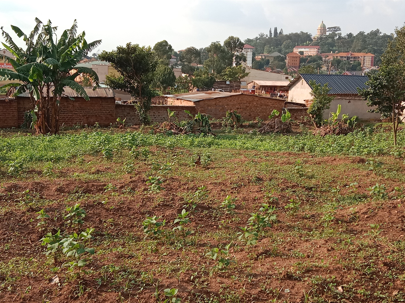 Residential land for sale in Bukoto Kampala Ugand...