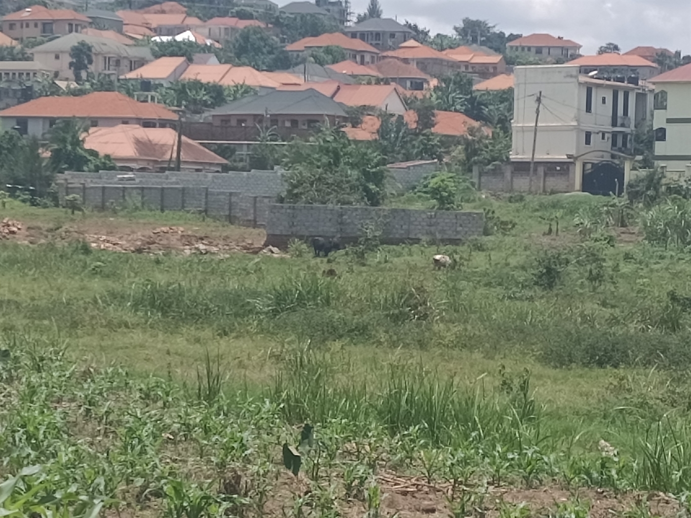 Residential land for sale in Bulindo Wakiso Uganda