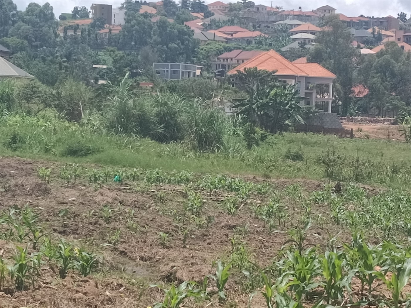 Residential land for sale in Bulindo Wakiso Uganda