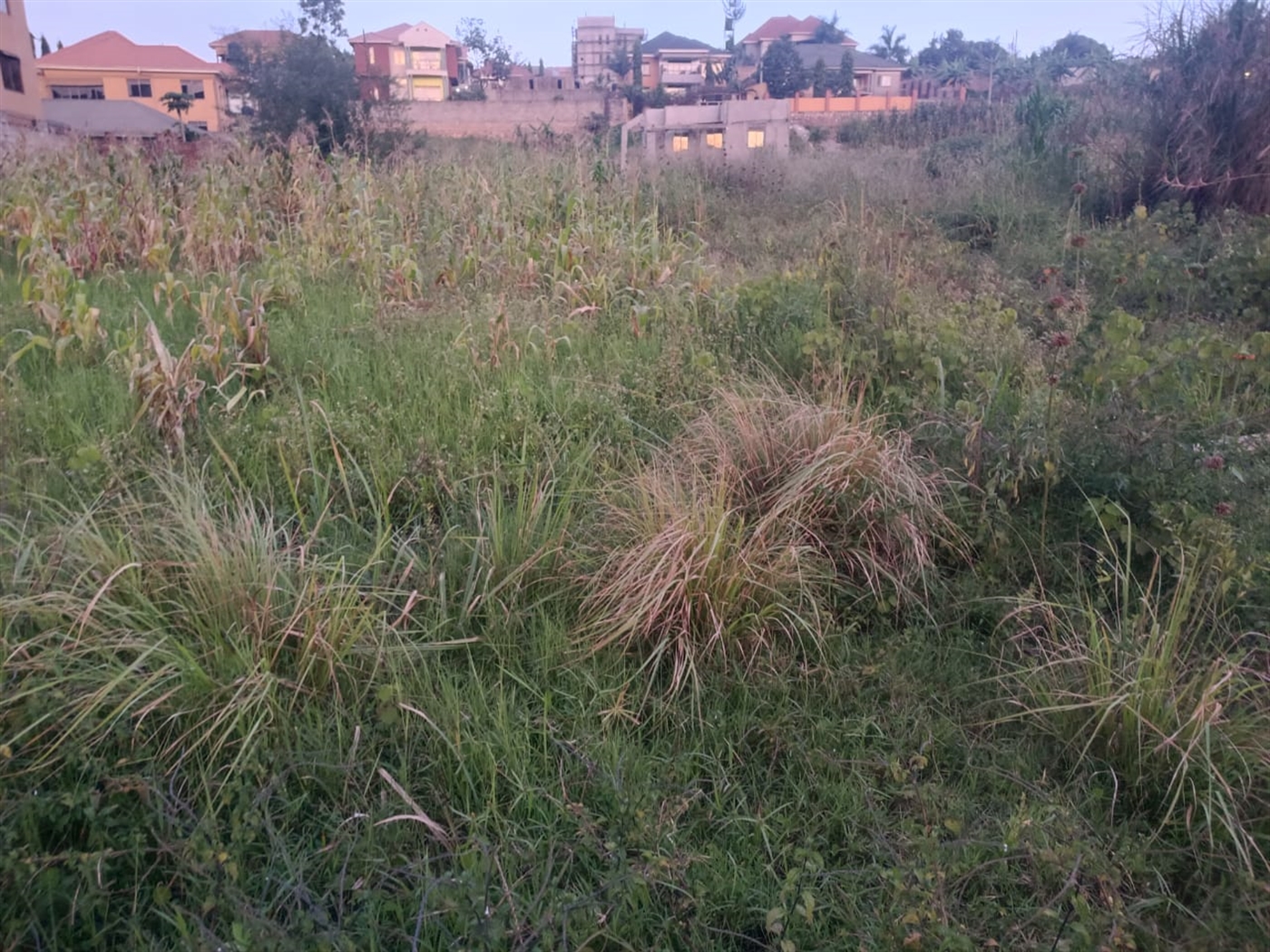 Residential land for sale in Bulindo Wakiso Uganda