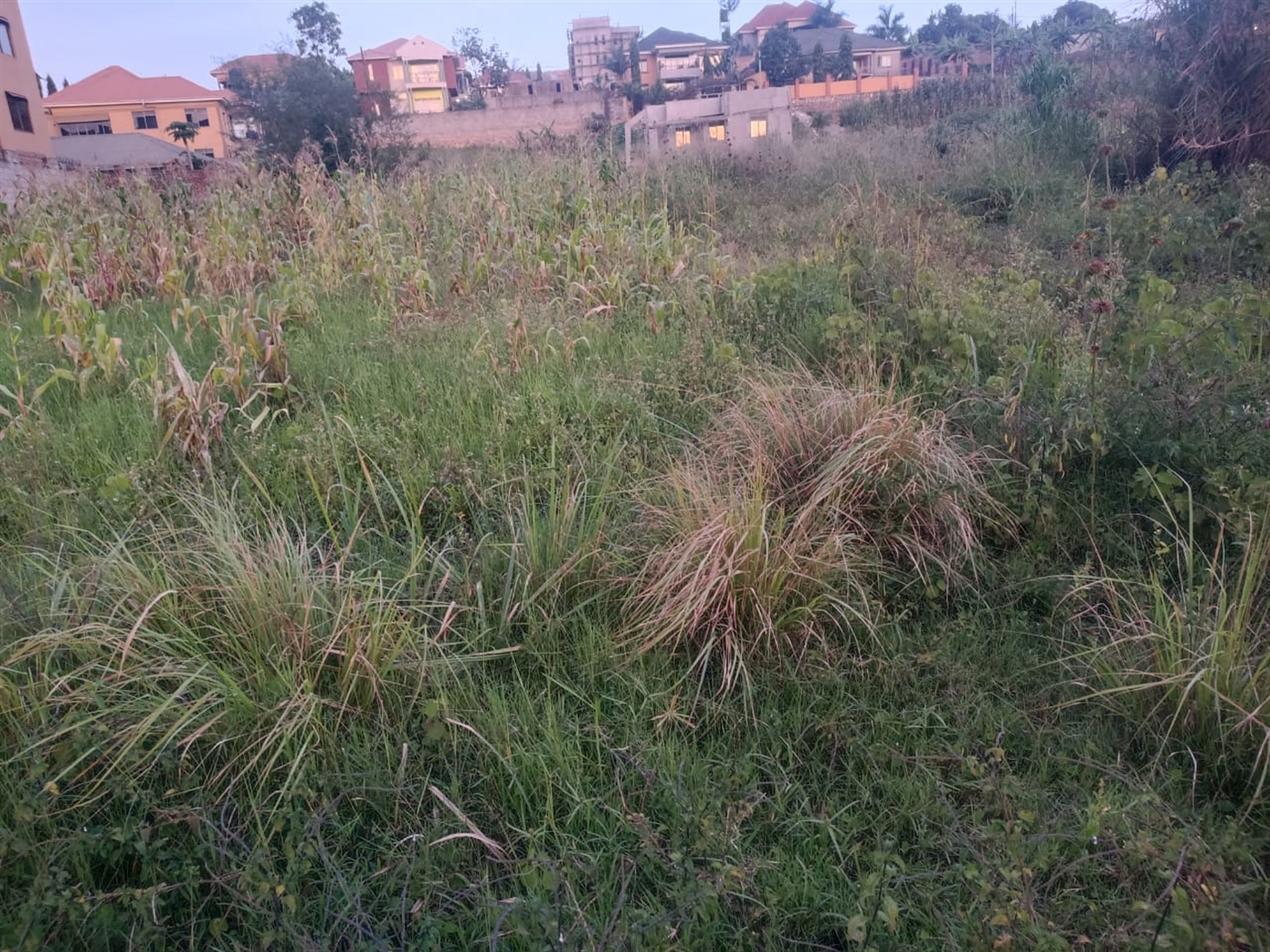 Residential land for sale in Bulindo Wakiso Uganda