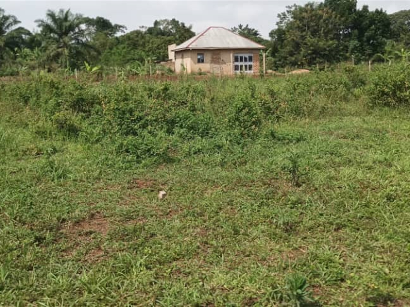 Residential land for sale in Busiika Wakiso Uganda
