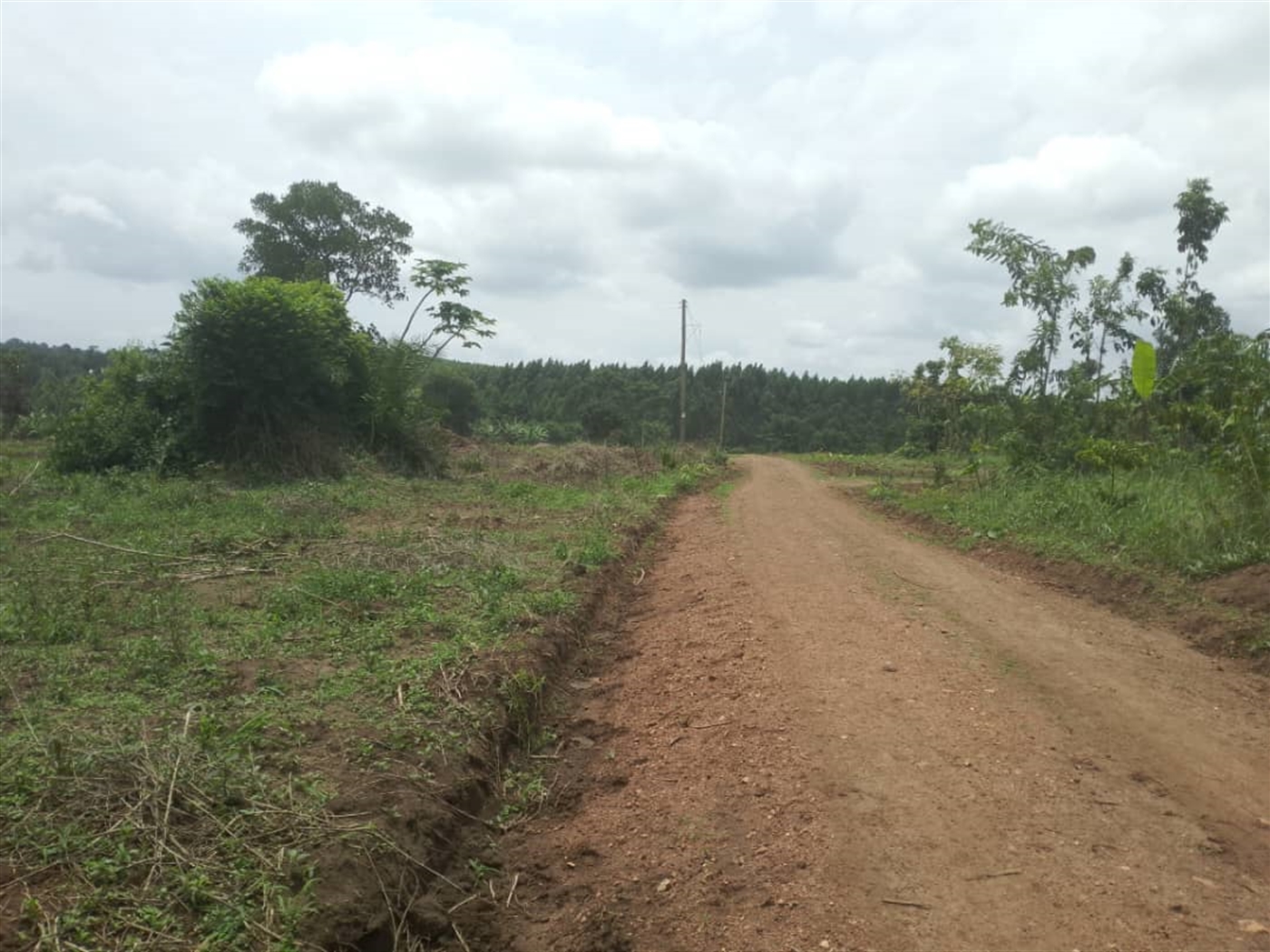 Residential land for sale in Busiika Wakiso Uganda