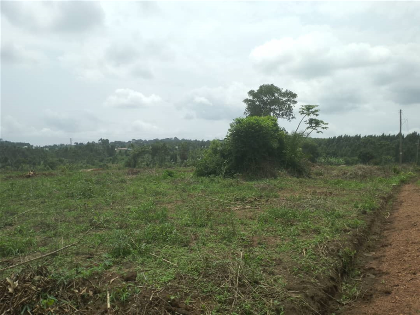 Residential land for sale in Busiika Wakiso Uganda