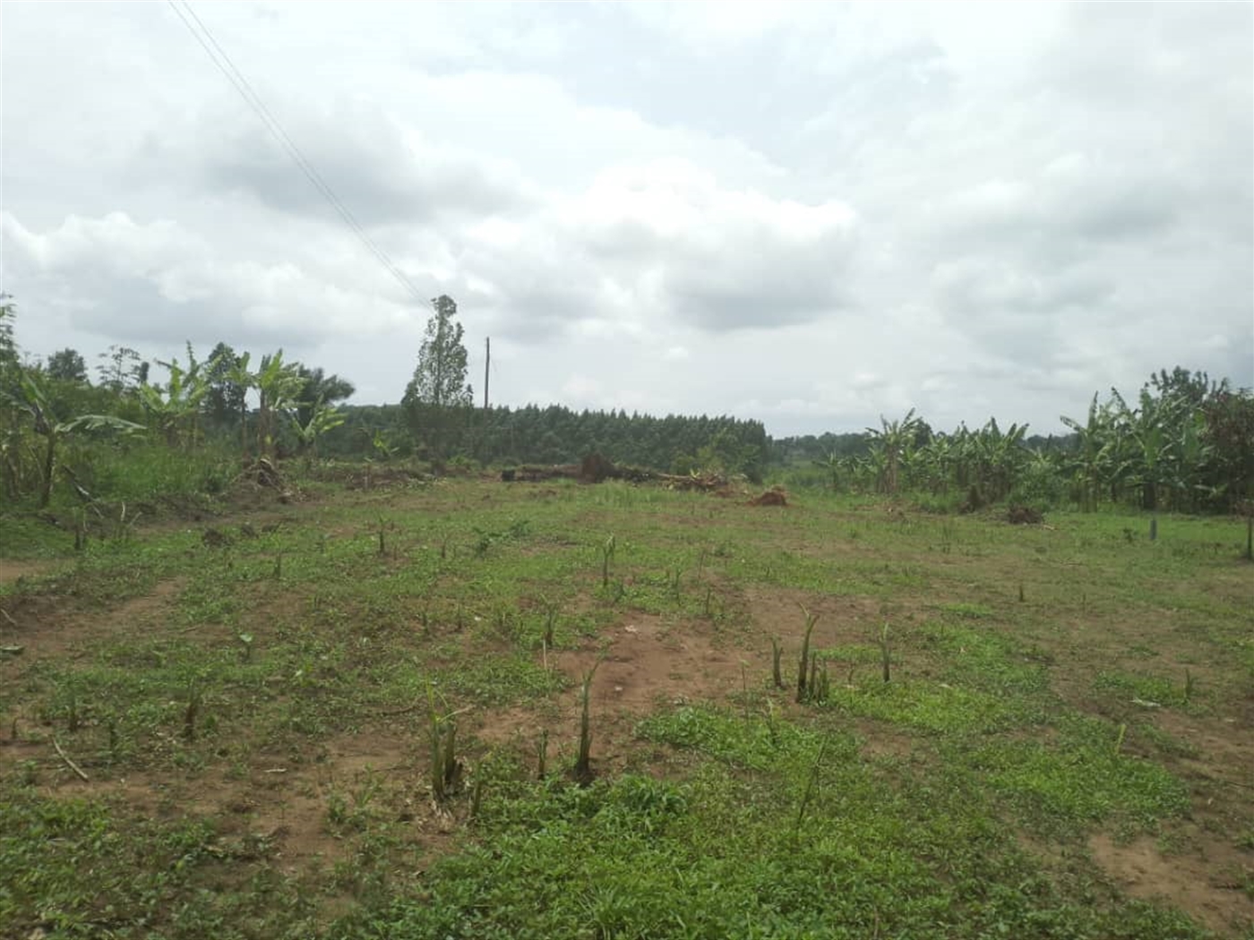 Residential land for sale in Busiika Wakiso Uganda