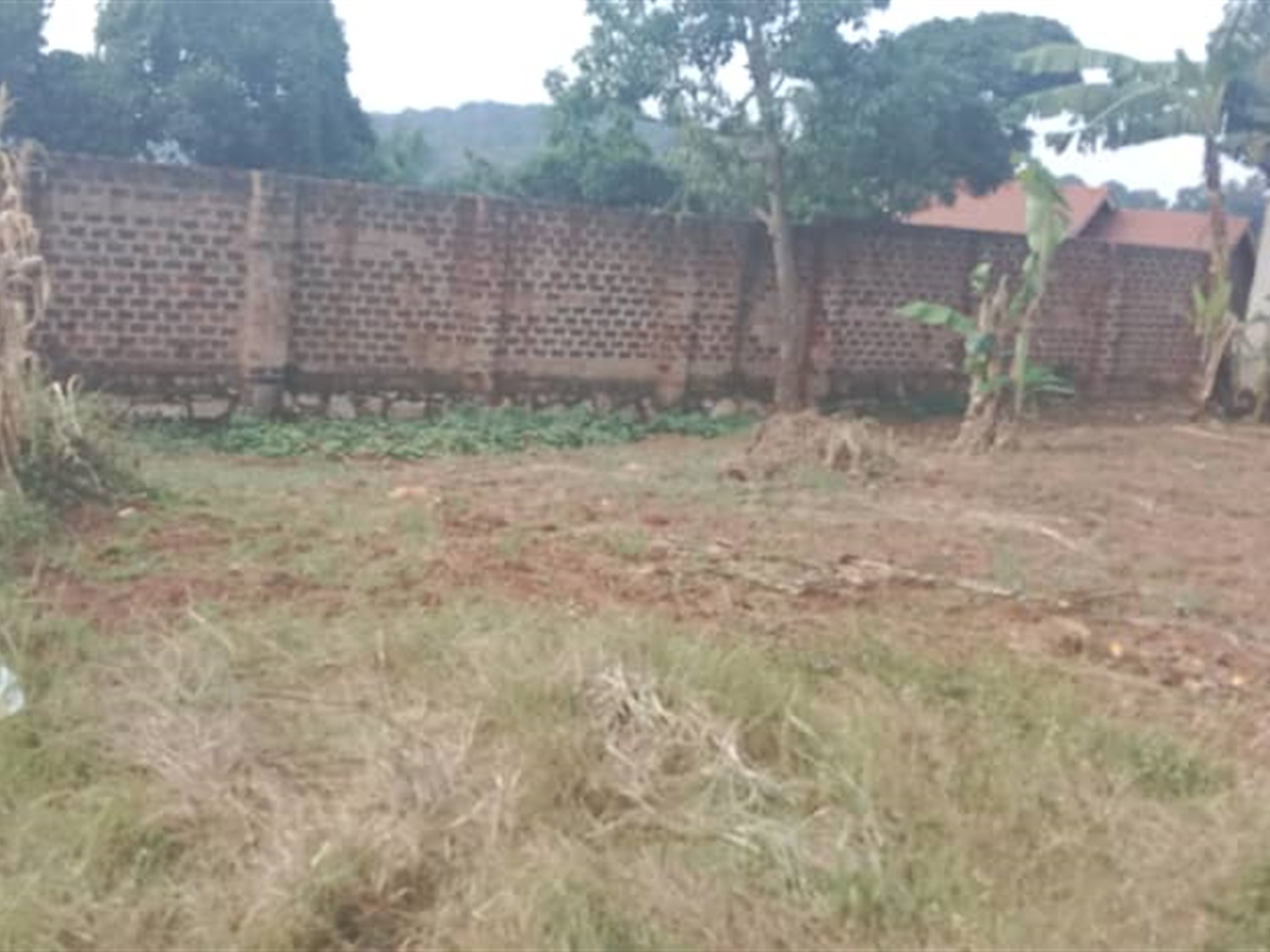 Residential land for sale in Bunamwaaya Wakiso Uganda