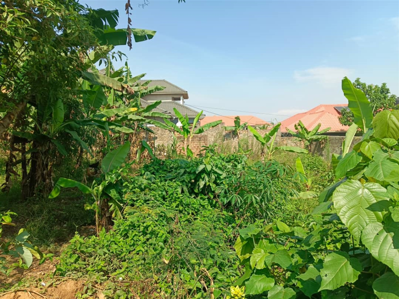 Residential land for sale in Kira Wakiso Uganda