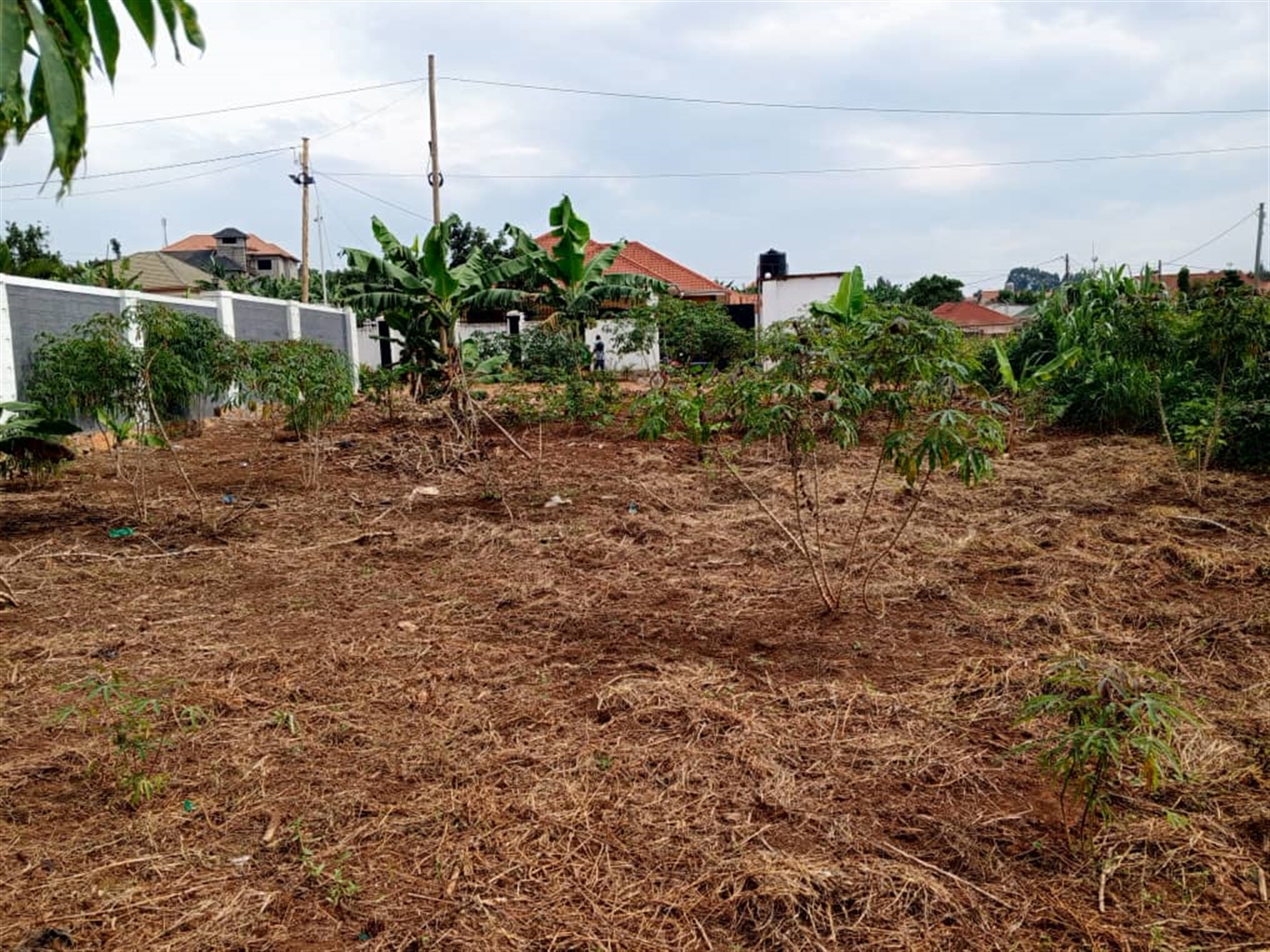 Residential land for sale in Kira Wakiso Uganda