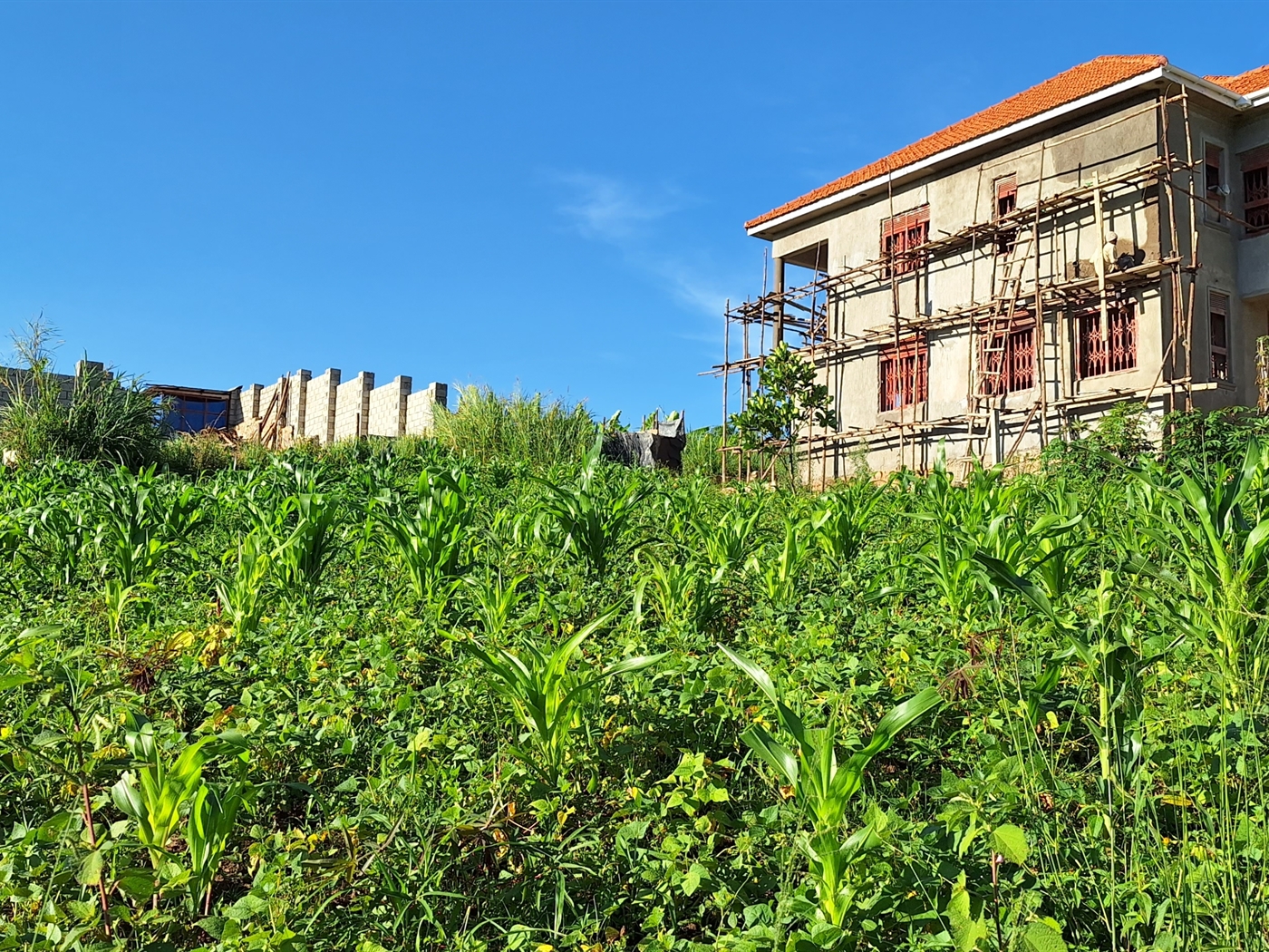 Residential land for sale in Kira Wakiso Uganda