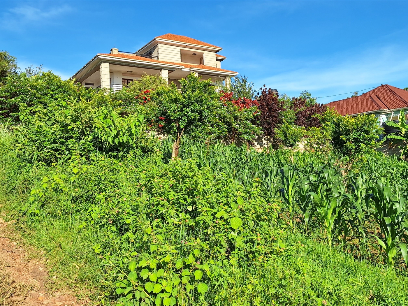 Residential land for sale in Kira Wakiso Uganda