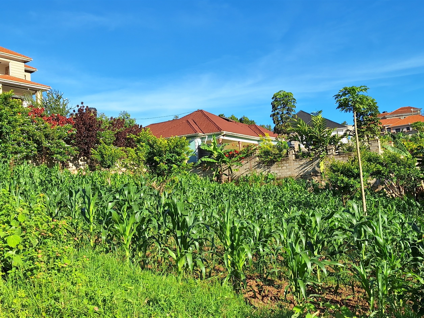 Residential land for sale in Kira Wakiso Uganda