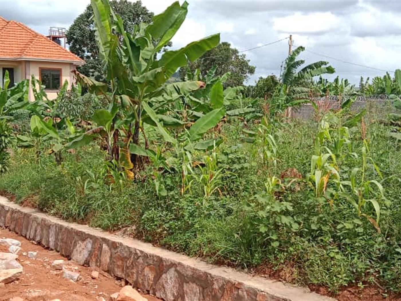 Residential land for sale in Akright Wakiso Uganda