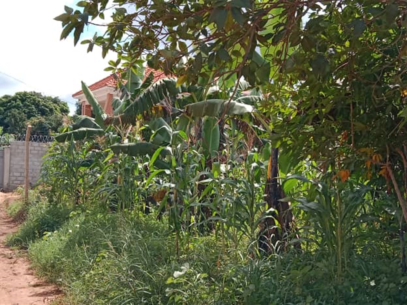 Residential land for sale in Akright Wakiso Uganda