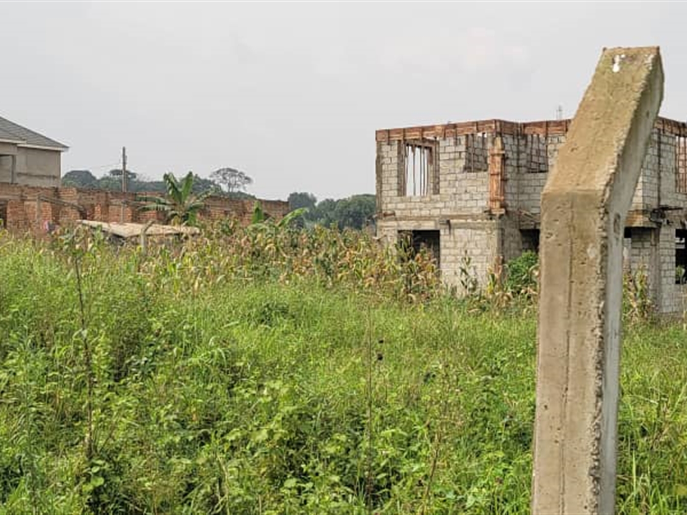 Residential land for sale in Kira Wakiso Uganda