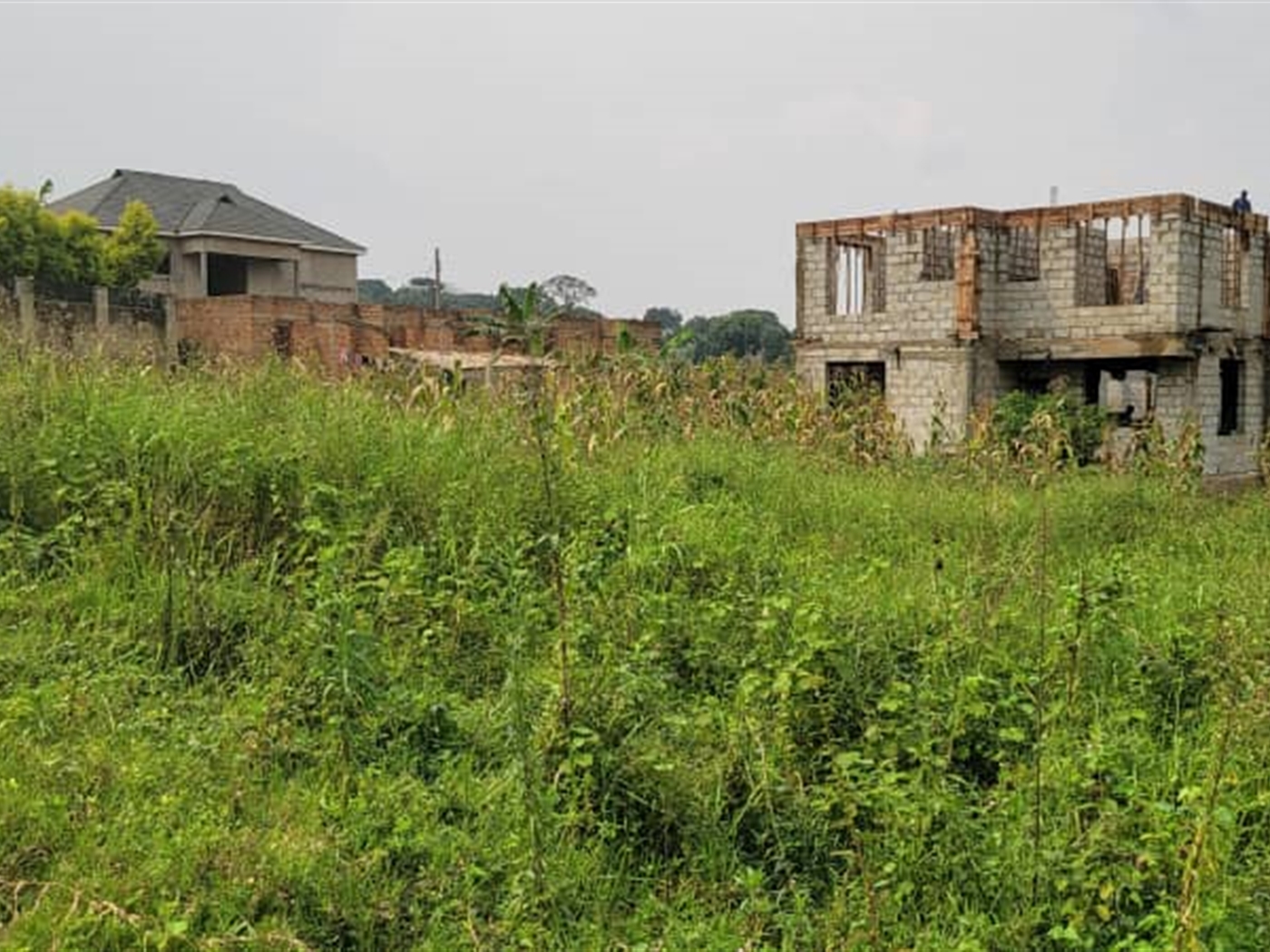 Residential land for sale in Kira Wakiso Uganda