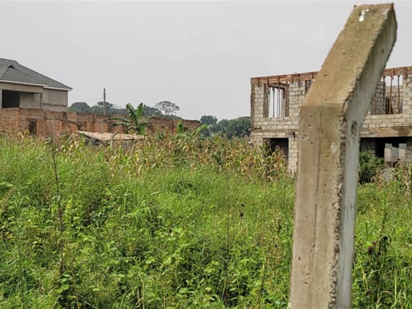 Residential land for sale in Kira Wakiso Uganda