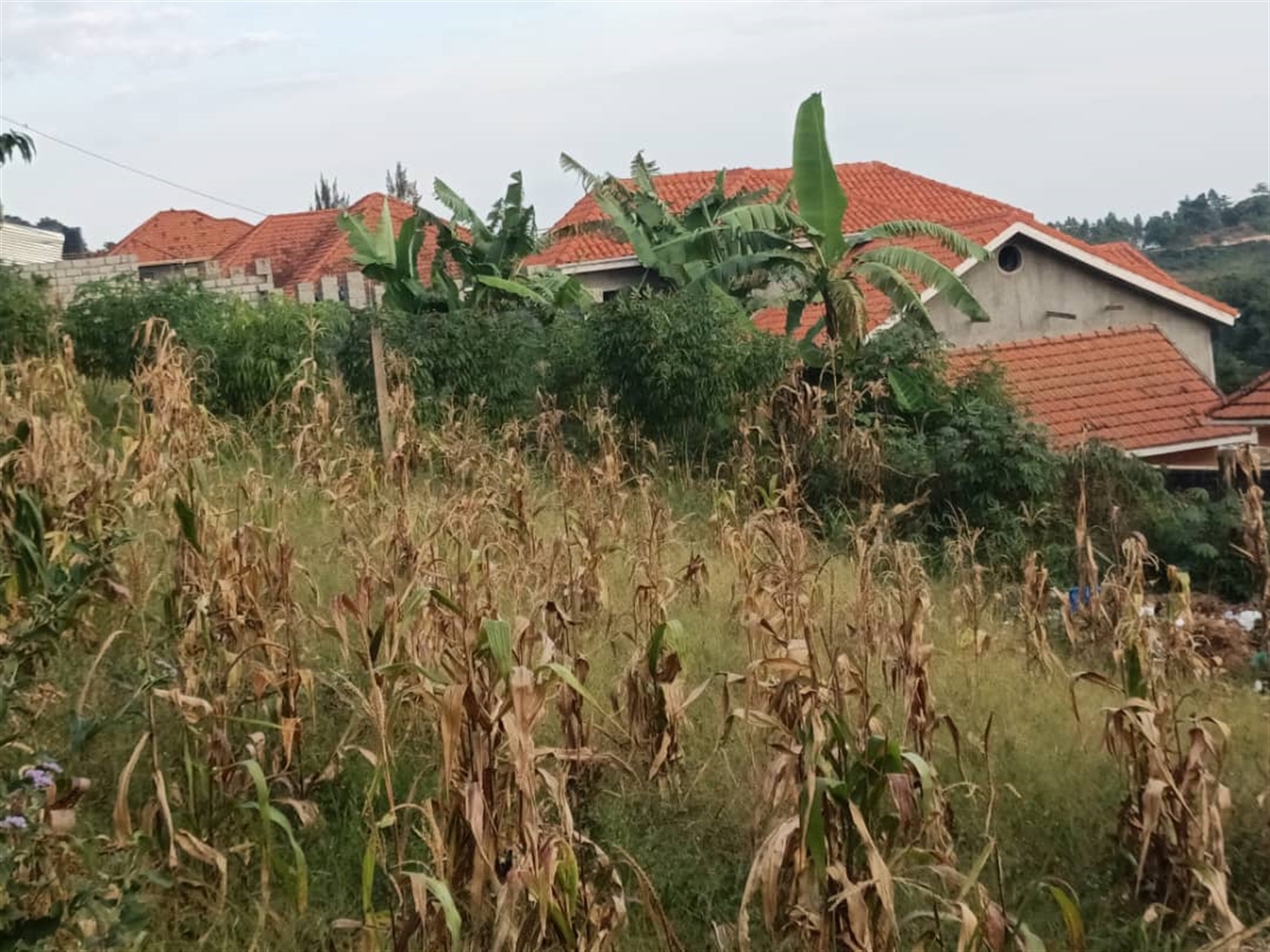 Residential land for sale in Akright Wakiso Uganda