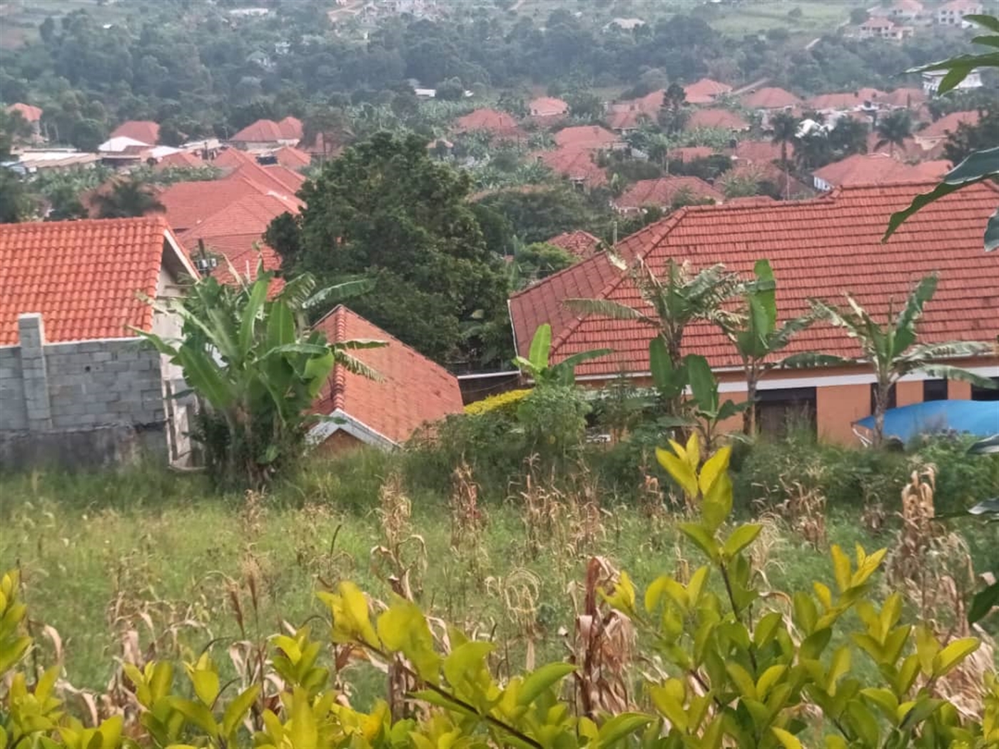 Residential land for sale in Akright Wakiso Uganda
