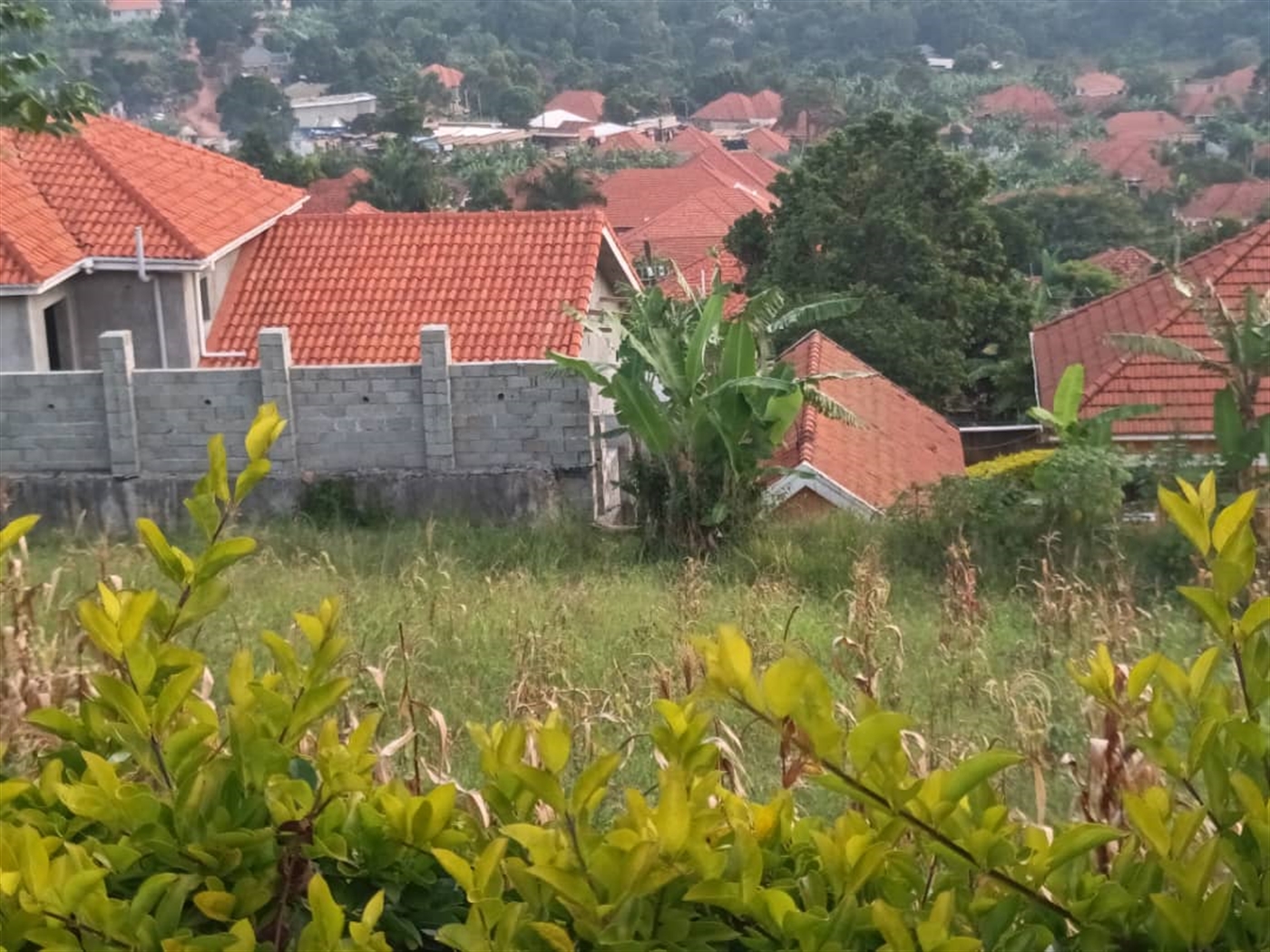 Residential land for sale in Akright Wakiso Uganda