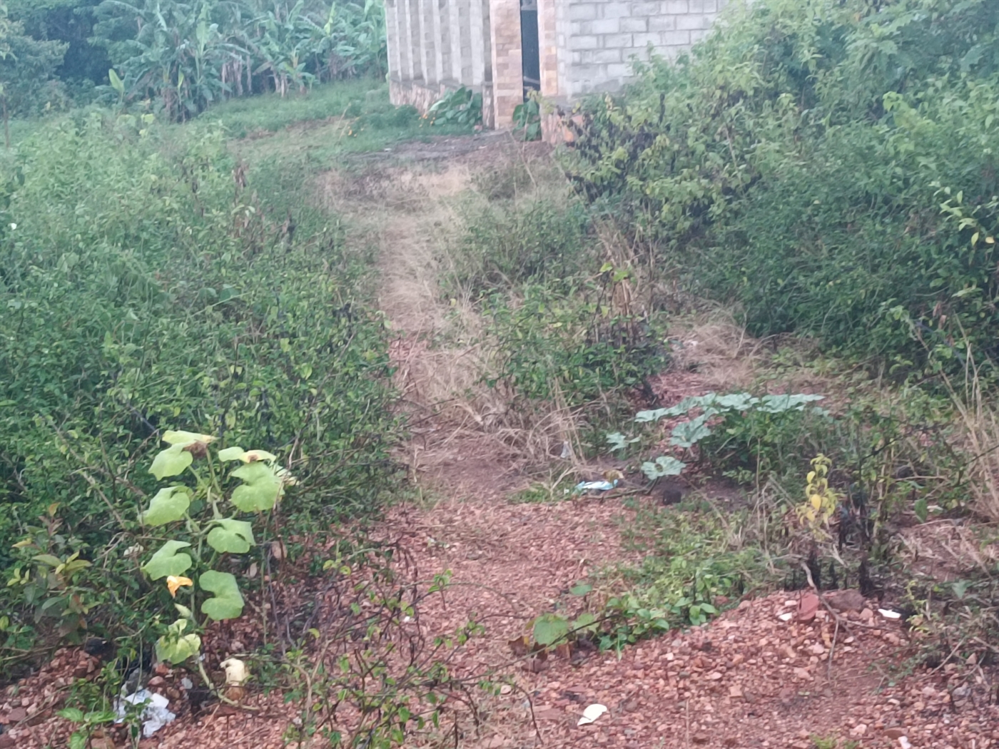 Residential land for sale in Kira Wakiso Uganda