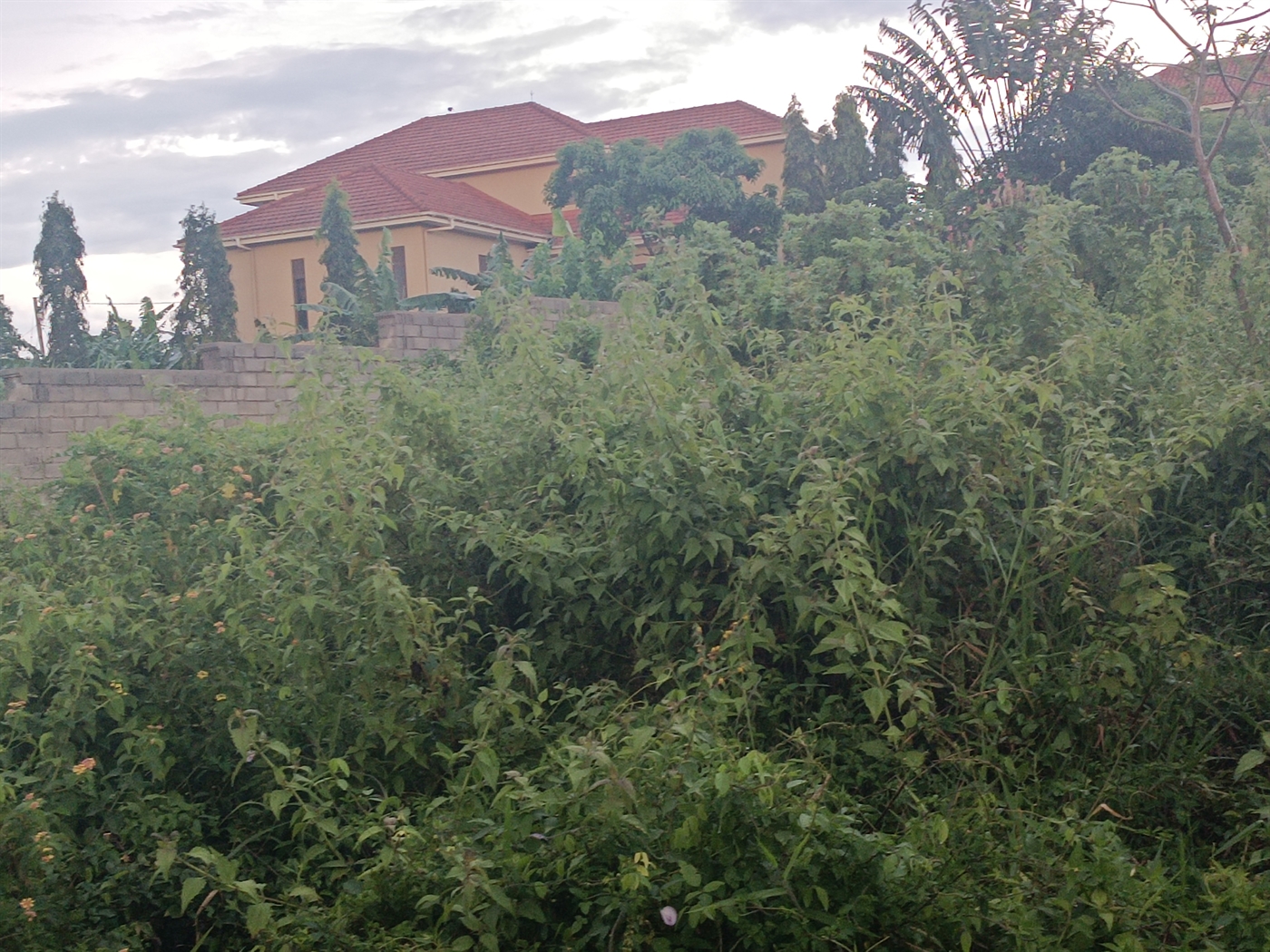 Residential land for sale in Kira Wakiso Uganda