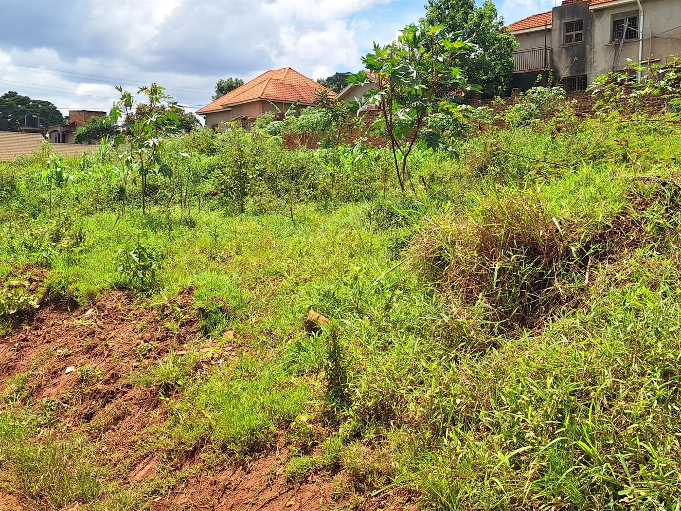 Residential land for sale in Kira Wakiso Uganda