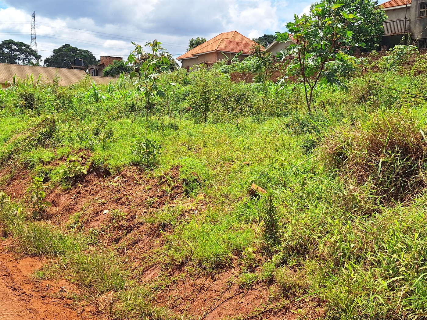 Residential land for sale in Kira Wakiso Uganda
