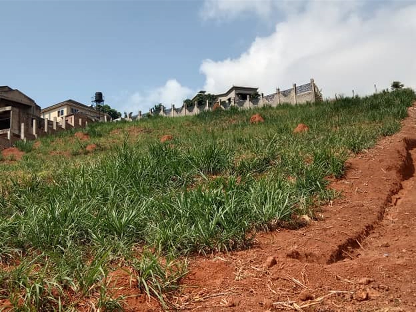 Residential land for sale in Akright Wakiso Uganda